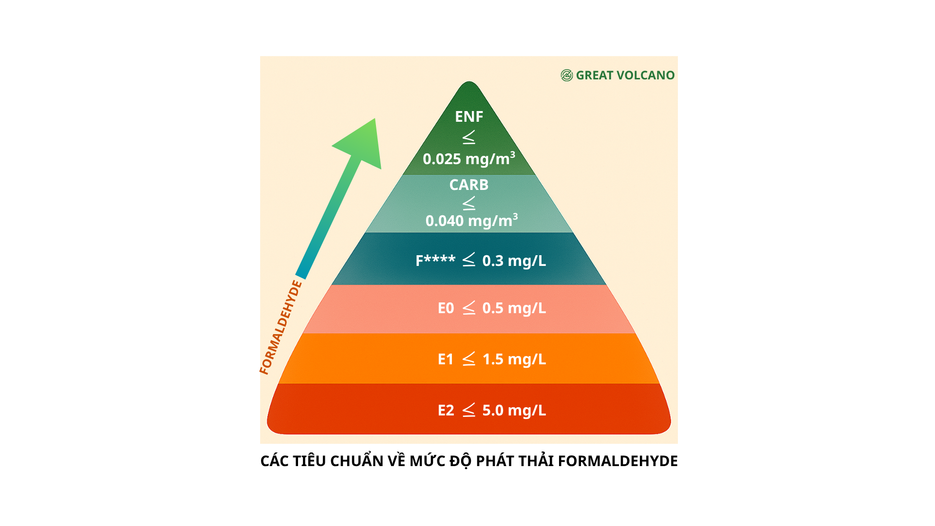 TIÊU CHUẨN ENF LÀ GÌ?
